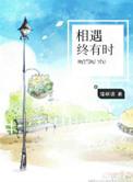 相遇终有时结局