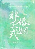 非正式婚姻by雾里青好看吗