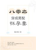 八零之穿成男配怀孕妻 百度