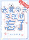 老婆今天又把我忘了全文在线阅读