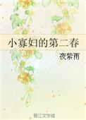小寡妇的第二春夜紫