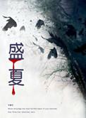 盛夏之恋