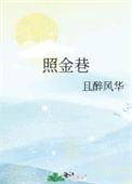 照金巷作者且醉风华
