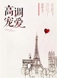 高调宠爱全文免费阅读