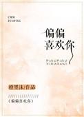 偏偏喜欢你 电视剧