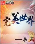 完美世界动漫完整版