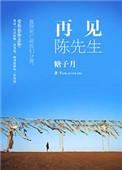 先生再见陈瑞歌曲表达什么意思