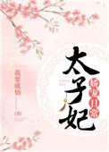 太子妃娇宠日常1v1
