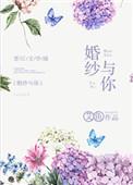 婚纱与你免费阅读