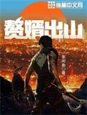 赘婿出山吧