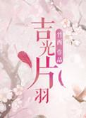 吉光片羽 歌词