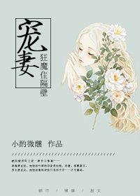 宠妻狂魔免费