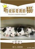 听说你是我的猫盘