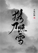 携刀照雪男主是沐青莲吗
