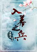 入幕之兵好看么