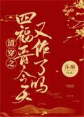 清穿之四爷的心尖福晋全文免费阅读