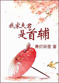 寒门首辅贵女妻
