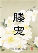 媵宠晋江