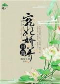 宠妃娇宠日记