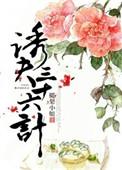 三十六计诱敌之计是哪一计