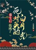 重生后我成了死对头的白月光顾暖