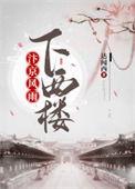 汴京南楼全诗的意思