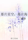 那片星空那片海演员