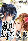 妖孽太子缠不休