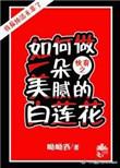 快穿如何做一朵美丽的白莲花