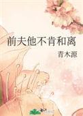前夫不想离婚