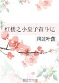 红楼 皇子