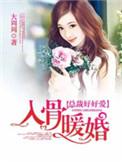 入骨暖婚南少宠妻上瘾免费阅读
