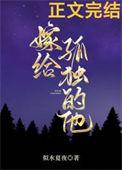 嫁给孤独的他大结局