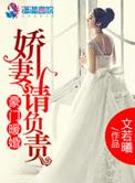 豪门暖婚之娇妻请负责全文免费阅读