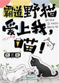 喵!百度