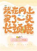 长颈鹿多少钱一只?
