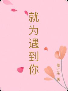 歌词 为了遇见你