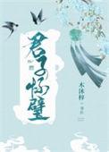 君子怀璧男主会武功吗