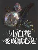末世重生之白莲黑化饭团桑
