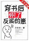 穿书后怀了反派的崽txt