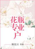 花瓶专业户txt书包网