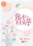 回头草歌词