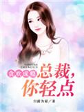 总裁轻点宠