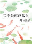 是朕不行