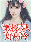 教授大人惹不起无删减