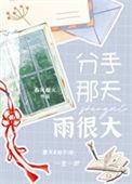 分手那天雨很大笔趣阁无弹窗