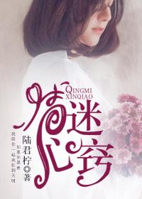 情迷心窍免费阅读全文