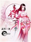 盛宠天下之毒妃倾城