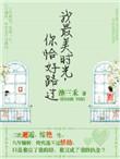 最美的时光我和你遇见是什么歌