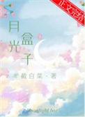 月光盒子TXT全本